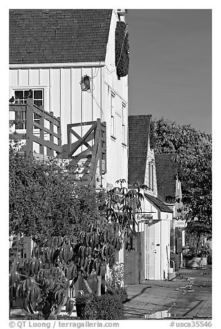 Brighly painted houses, Fishermans village. Marina Del Rey, Los Angeles, California, USA (black and white)