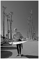 Surfer and palm trees. Venice, Los Angeles, California, USA (black and white)