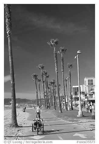 Woman riding a tricycle on the beach promenade. Venice, Los Angeles, California, USA