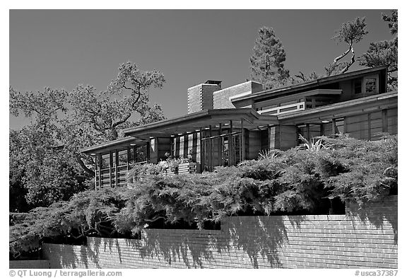 Facade and trees, Frank Lloyd Wright Honeycomb House. Stanford University, California, USA