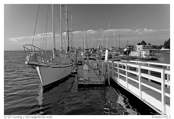 Yachts in Port of Redwood, late afternoon. Redwood City,  California, USA