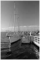 Yacht in Port of Redwood, late afternoon. Redwood City,  California, USA (black and white)