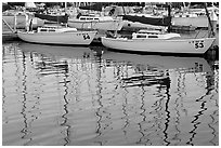 Marina reflections. Redwood City,  California, USA (black and white)