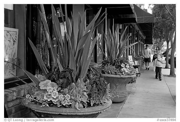 Flowers on Main Street, with family strolling by. Half Moon Bay, California, USA (black and white)