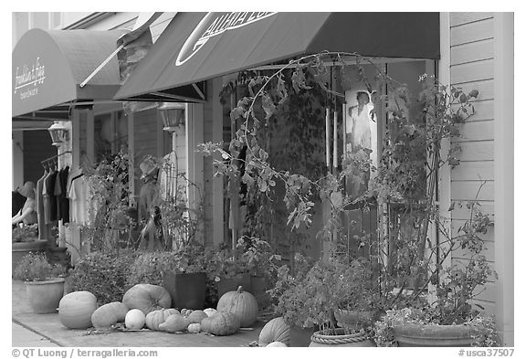Storefronts decorated with large pumpkins. Half Moon Bay, California, USA