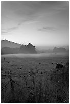 Pasture with fog at sunset. San Mateo County, California, USA ( black and white)