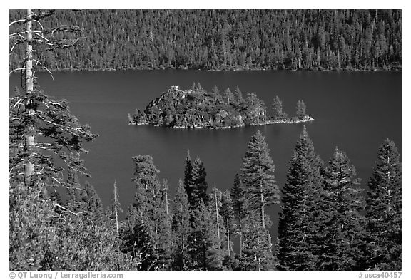 Forested slopes and Fannette Island, Emerald Bay, California. USA (black and white)
