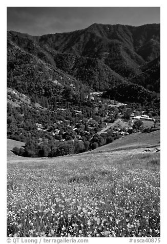El Portal below fields of wildflowers. El Portal, California, USA (black and white)