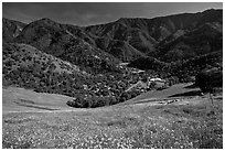 El Portal, nested below hills covered with spring flowers. El Portal, California, USA ( black and white)