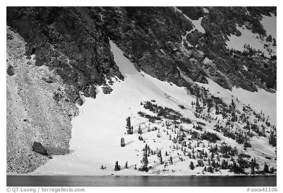 Sunlit Slope with snow, Ellery Lake. California, USA (black and white)