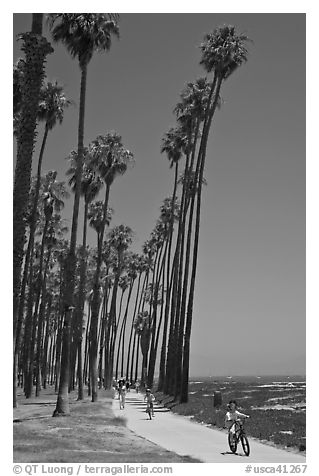 Families riding on beachside pathway. Santa Barbara, California, USA (black and white)