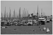 Santa Barbara Harbor. Santa Barbara, California, USA (black and white)