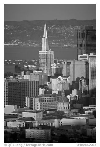 City Hall and Transamerica Pyramid, late afternoon. San Francisco, California, USA (black and white)