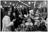 Women look at orchids during festival, Mason Center. San Francisco, California, USA ( black and white)