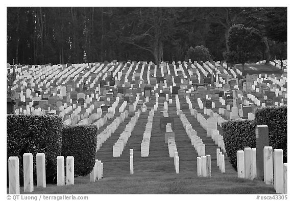 San Francisco National Cemetery, Presidio of San Francisco. San Francisco, California, USA