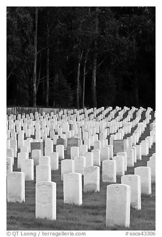 Headstones, San Francisco National Cemetery, Presidio. San Francisco, California, USA
