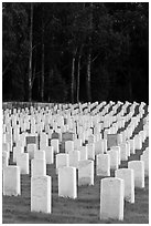 Headstones, San Francisco National Cemetery, Presidio. San Francisco, California, USA (black and white)