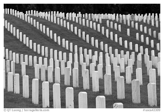 Graves, San Francisco National Cemetery, Presidio. San Francisco, California, USA (black and white)
