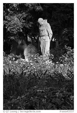 Father Statue and flowers, Mission Dolores garden. San Francisco, California, USA (black and white)