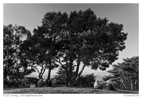 Buena Vista Park. San Francisco, California, USA (black and white)