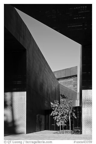 Opening, De Young Museum. San Francisco, California, USA (black and white)