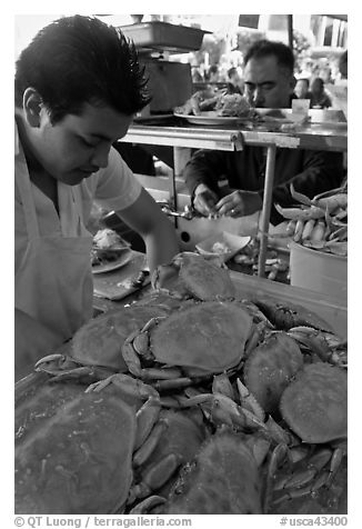 Man preparing crabs, Fishermans wharf. San Francisco, California, USA (black and white)