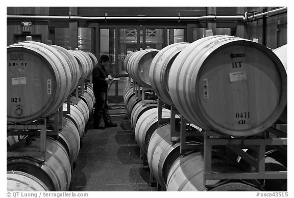 Winemaker checking barrels of wine being aged. Napa Valley, California, USA