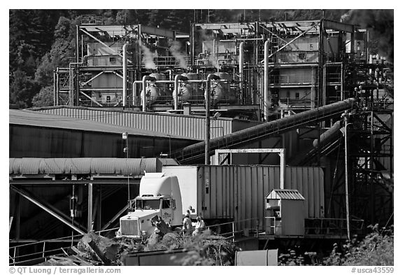Pacific Lumber Company mill and truck, Scotia. California, USA