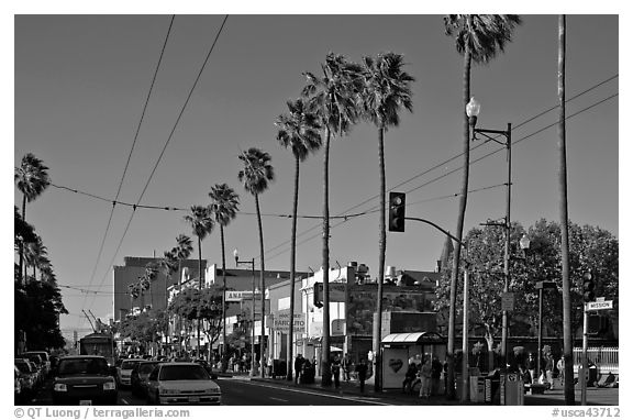 Palm-lined section of Mission street, Mission District. San Francisco, California, USA