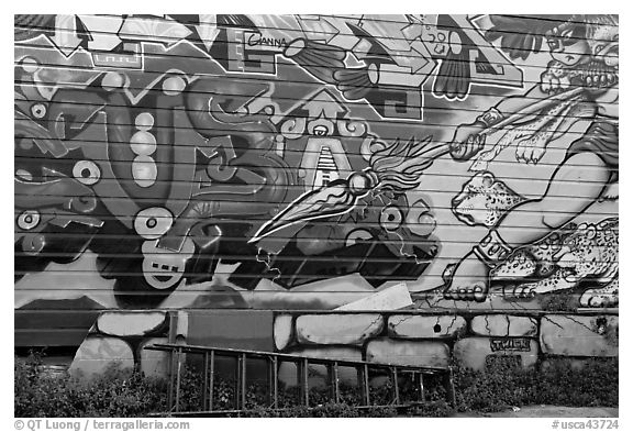 Ladder and mural, Mission District. San Francisco, California, USA (black and white)