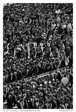 Dense rows of graduating college students in academic heraldy. Stanford University, California, USA (black and white)