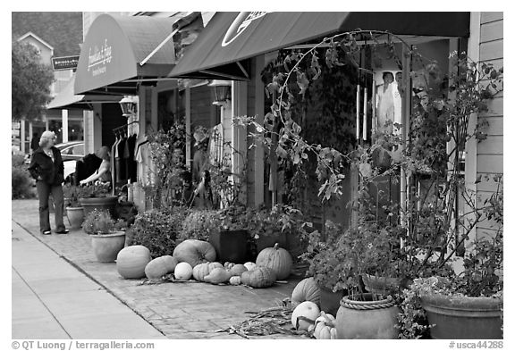 Sidewalk in the fall. Half Moon Bay, California, USA (black and white)