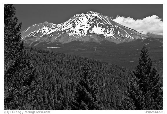 Forested slopes and Mount Shasta. California, USA (black and white)