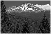 Forested slopes and Mount Shasta. California, USA (black and white)