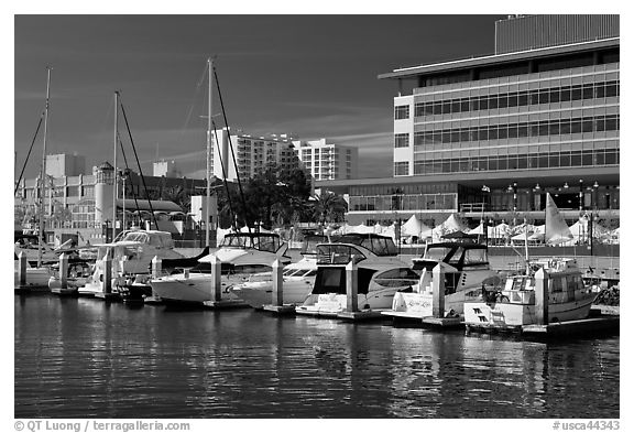 Marina and yachts, Jack London Square. Oakland, California, USA (black and white)