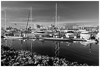 Alameda marina and Oakland skyline. Oakland, California, USA (black and white)