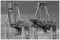 Container cranes, Port of Oakland. Oakland, California, USA ( black and white)
