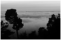 Low clouds at sunset seen from foothills. Oakland, California, USA (black and white)