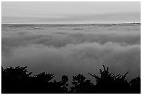Sea of clouds at sunset. Oakland, California, USA ( black and white)