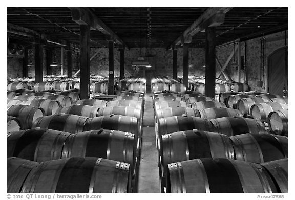 Wine cellar, Hess Collection winery. Napa Valley, California, USA (black and white)