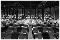 Wine cellar, Hess Collection winery. Napa Valley, California, USA (black and white)