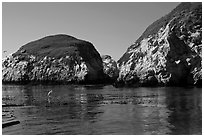 Bird and cliffs, China Cove. Point Lobos State Preserve, California, USA (black and white)