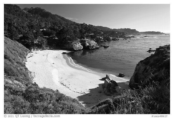 Gibson Beach. Point Lobos State Preserve, California, USA (black and white)