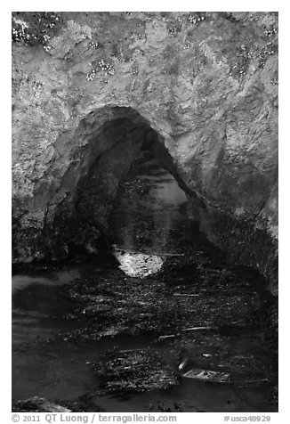 Sea arch and reflection. Point Lobos State Preserve, California, USA (black and white)
