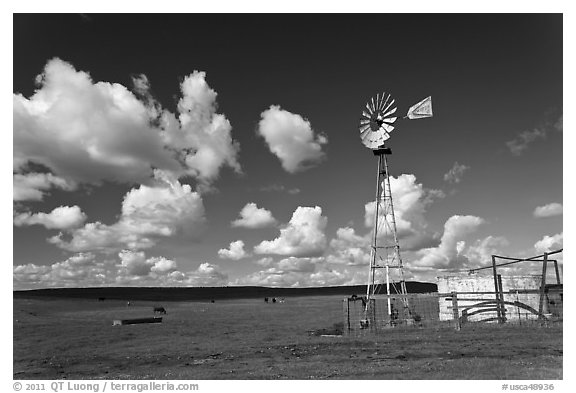Pasture in early spring with windmill. California, USA (black and white)