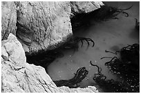 Green waters and kelp, China Cove. Point Lobos State Preserve, California, USA (black and white)