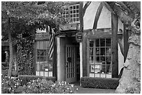 Art galleries. Carmel-by-the-Sea, California, USA ( black and white)