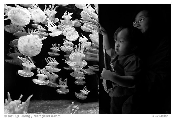 Mother and infant look at Jelly exhibit, Monterey Bay Aquarium. Monterey, California, USA (black and white)