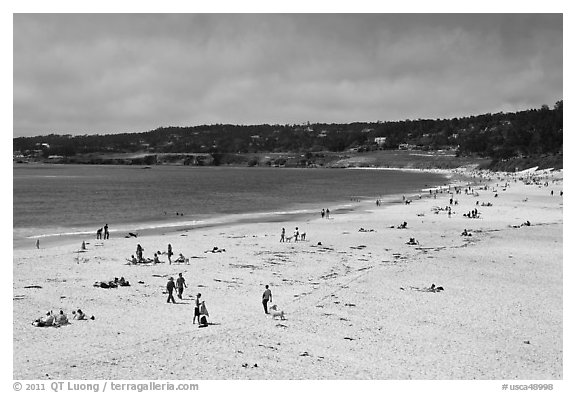 Carmel Beach in summer. Carmel-by-the-Sea, California, USA