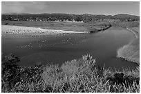 Marsh at the mouth of Carmel River. Carmel-by-the-Sea, California, USA ( black and white)